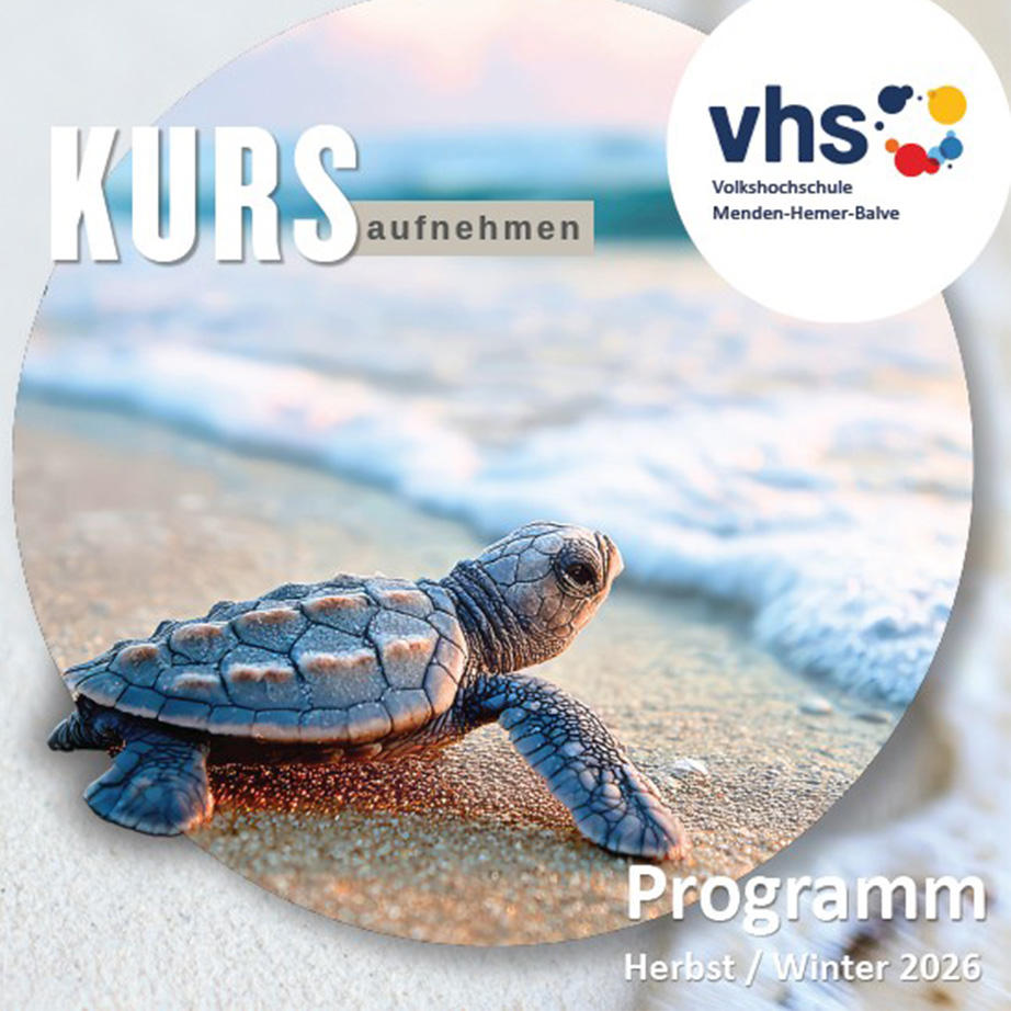 Programm 262